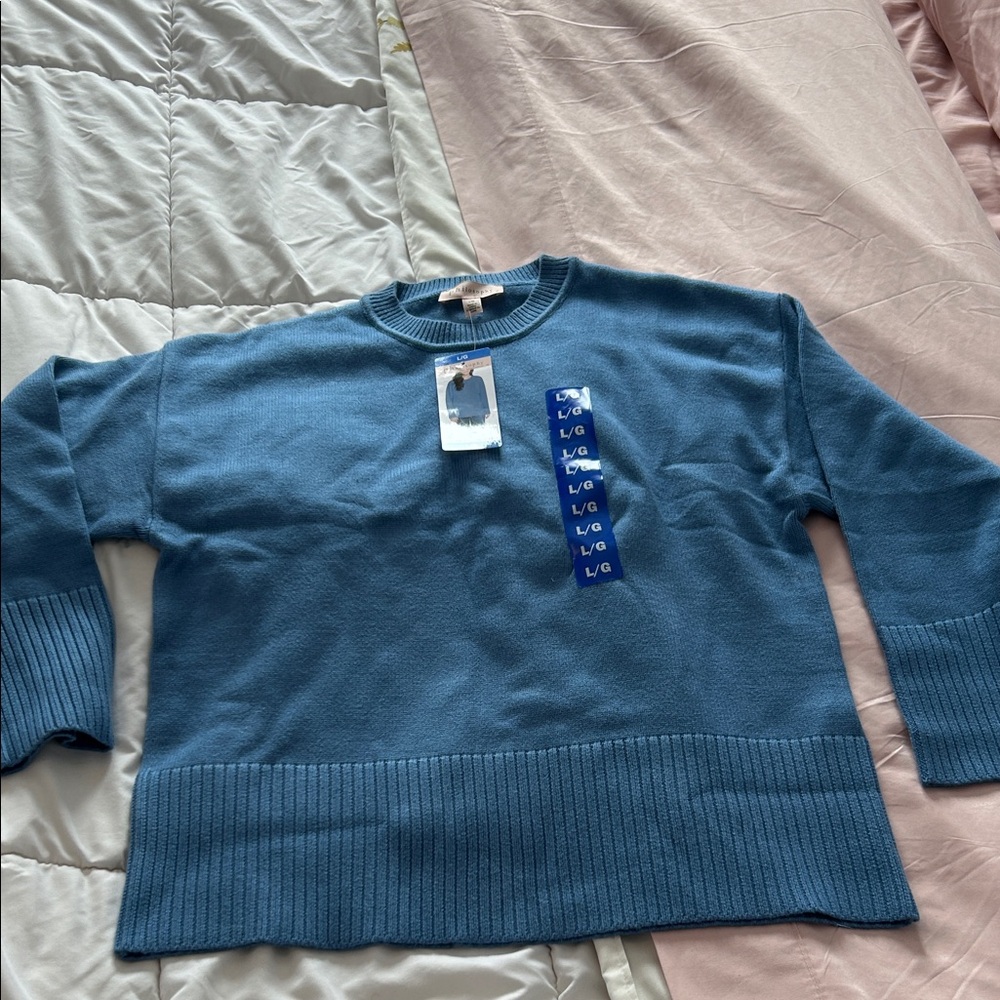 Philosophy Light Blue Ribbed Crewneck Sweater